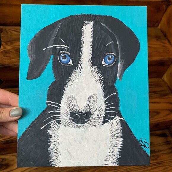 Blue Eyed Puppy - Picture 1 of 8
